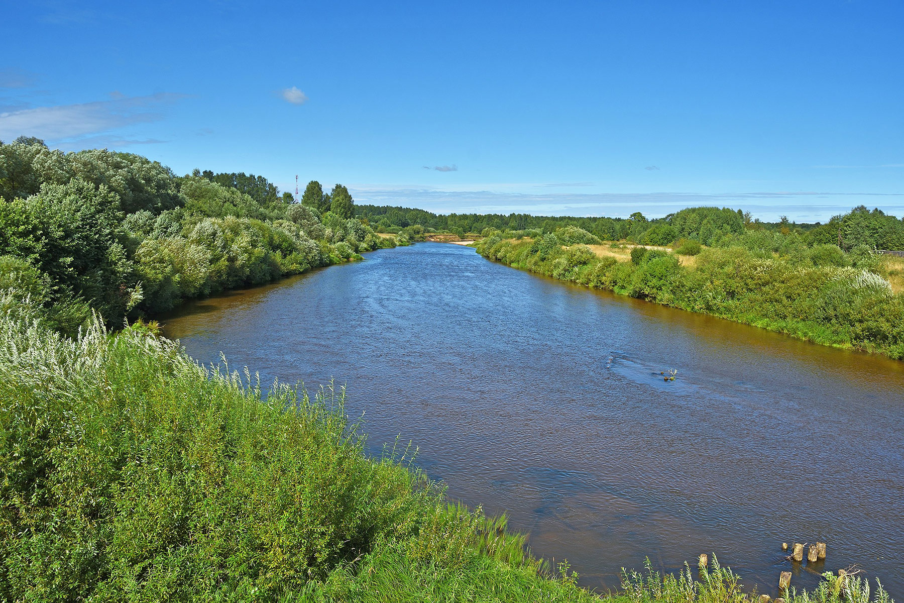 Река Нея (Neya River)
